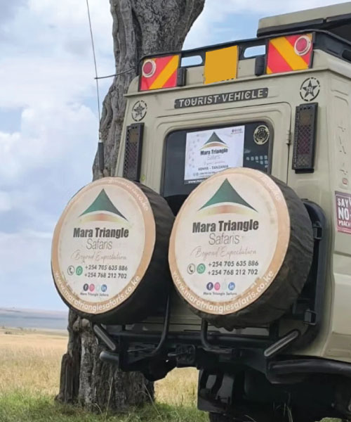 Premium Wheel Covers Kenya