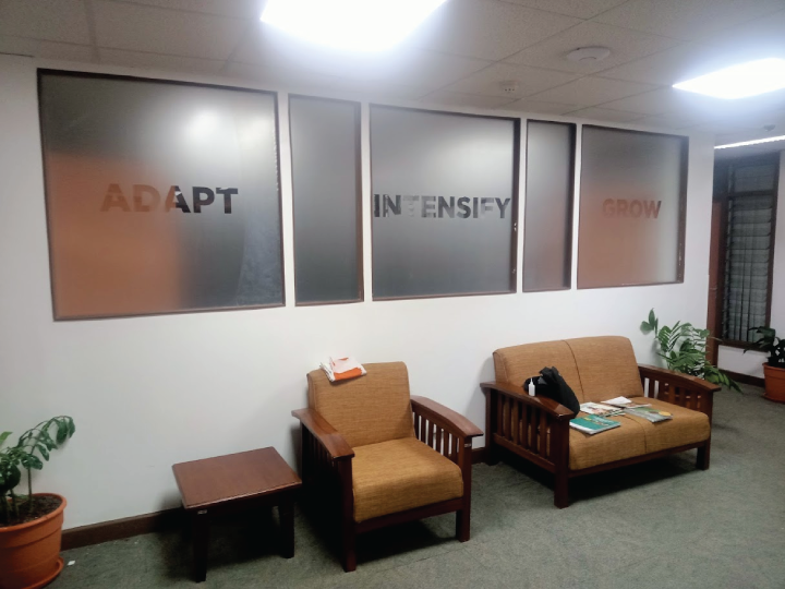 Frosted glass office partition design in Nairobi Kenya